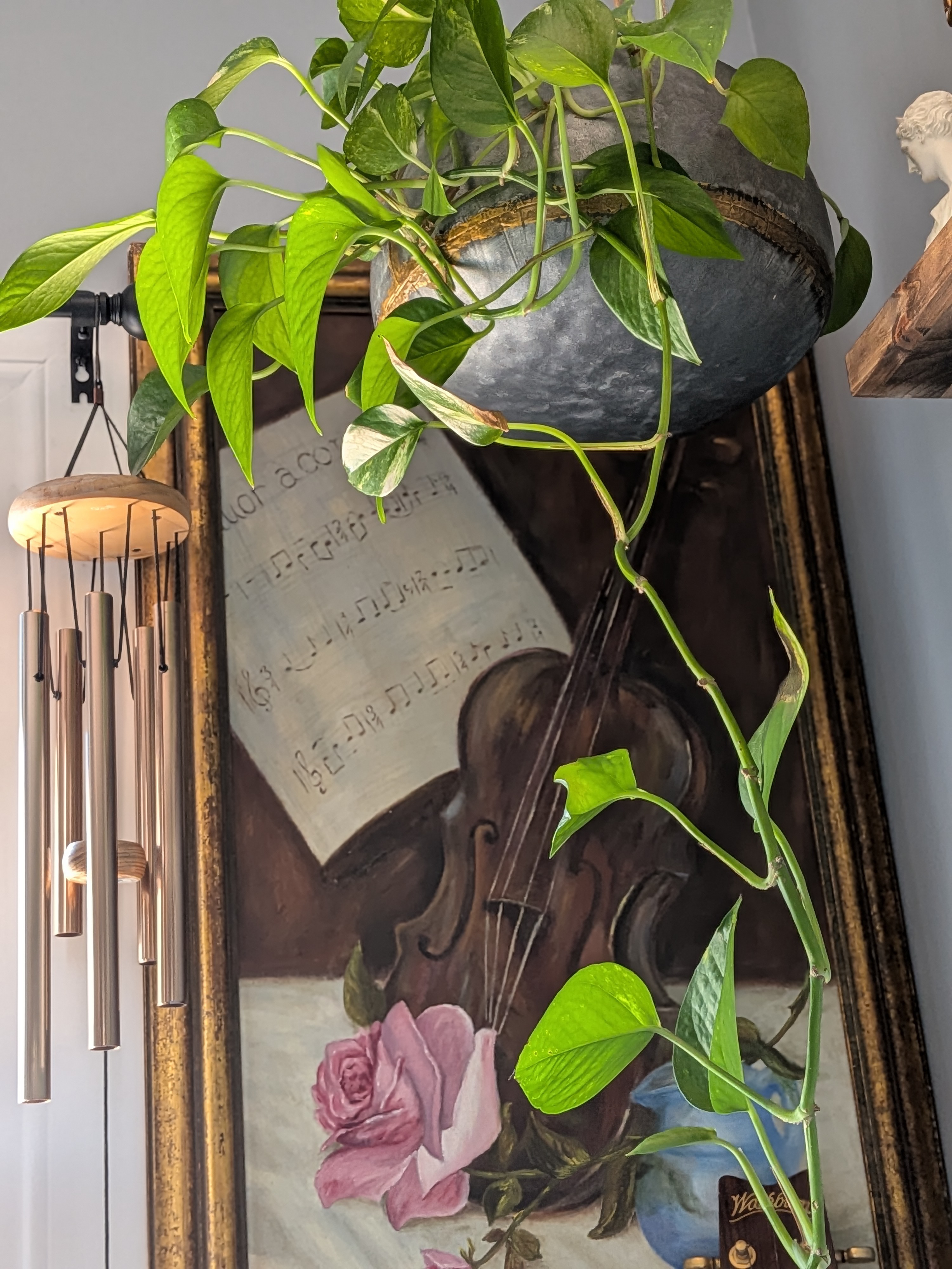 Hanging plant