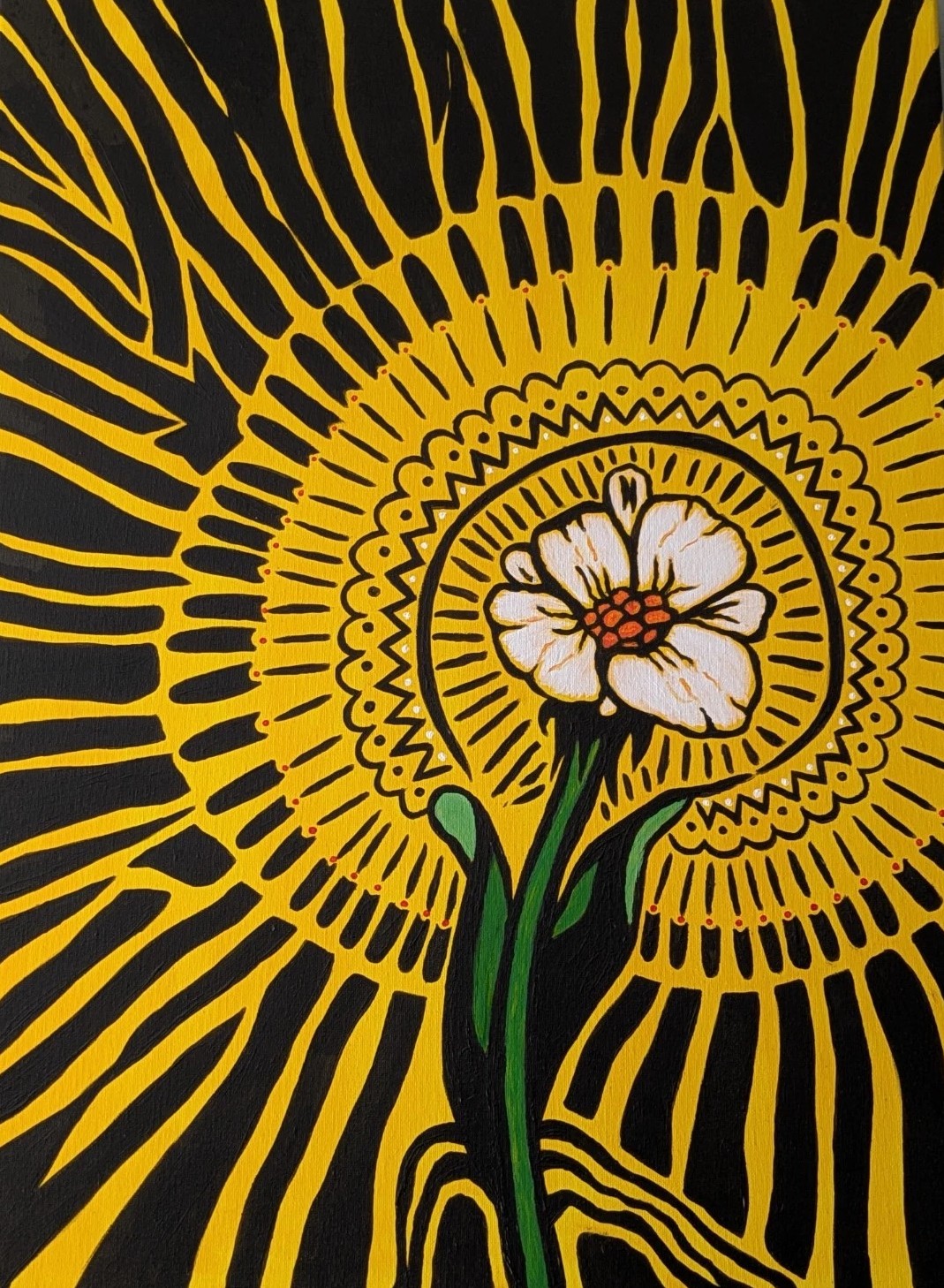 Daisy